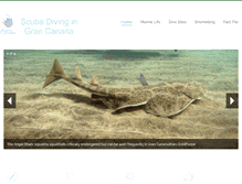 Tablet Screenshot of gran-canaria-diving.com